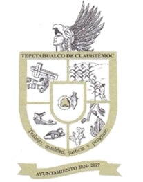 H. Ayuntamiento de Tepeyahualco De Cuauhtemoc